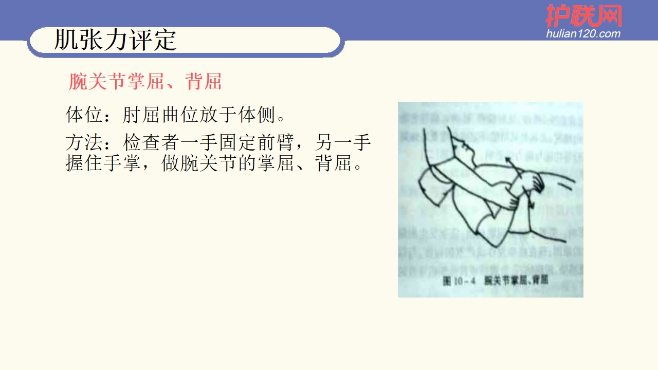 肌张力评定